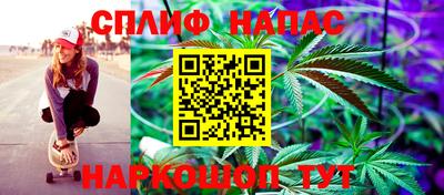 СК Гусев