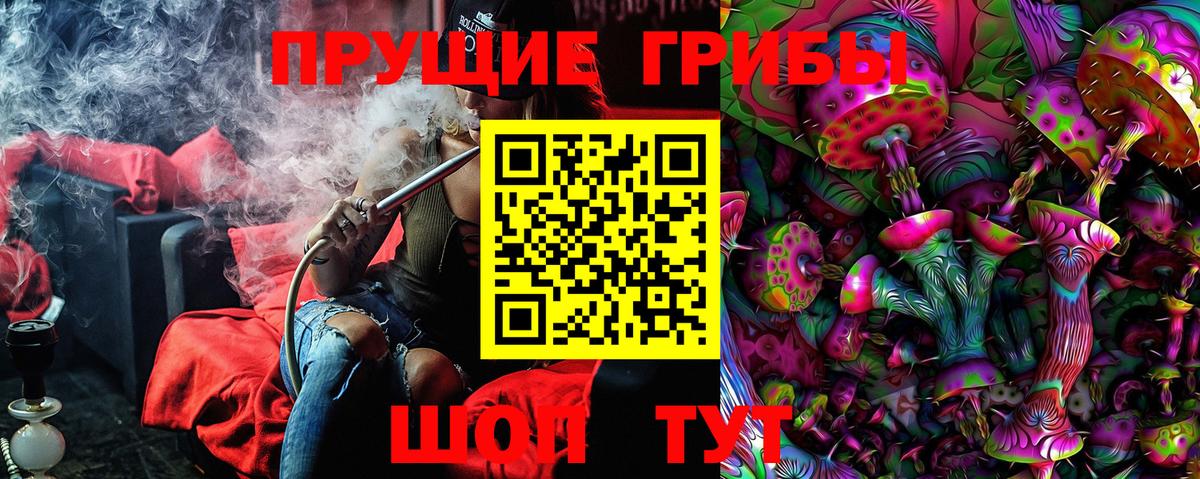Краснокаменск  Псилоцибиновые грибы мицелий  Вход с VPN 